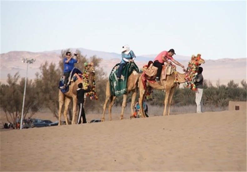 Camel Riding in Ardakan